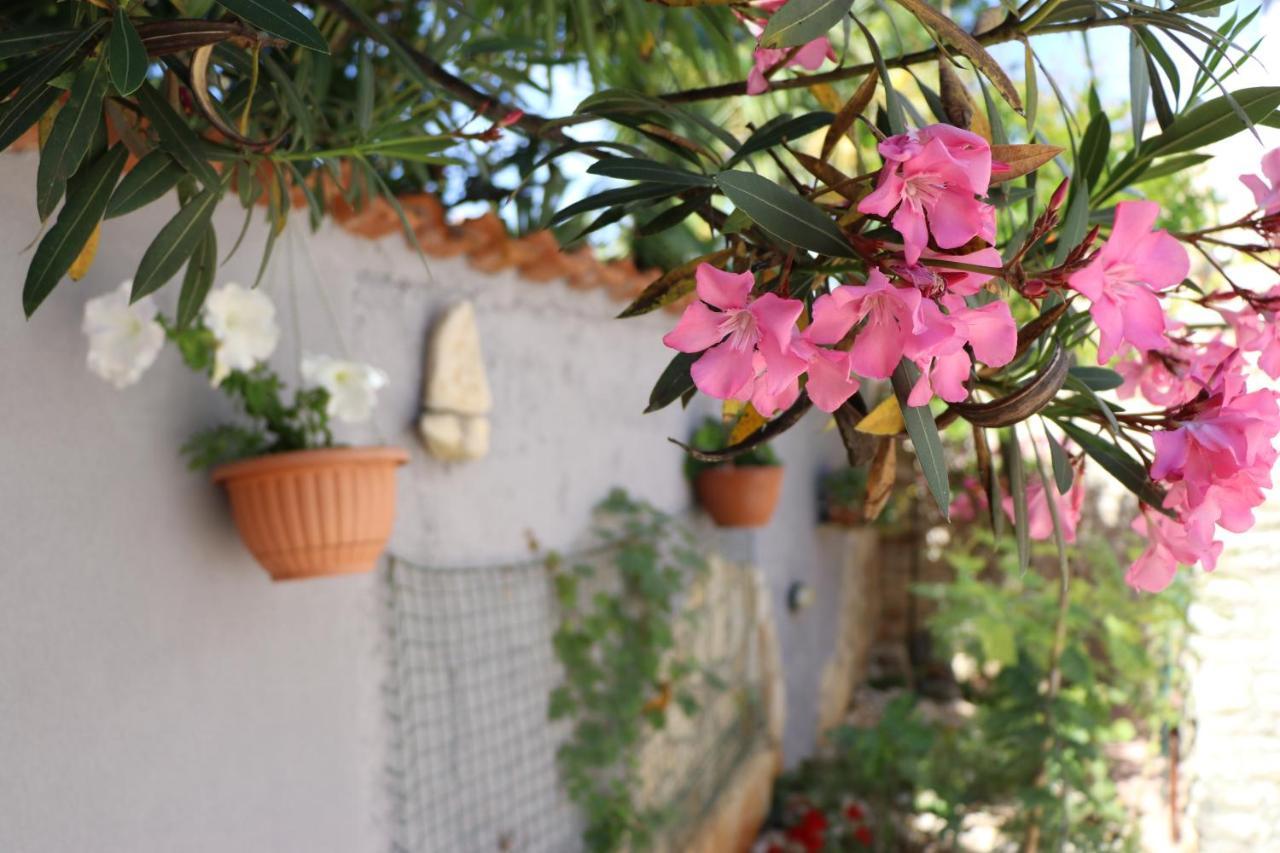 Apartment Sole Poreč Eksteriør billede